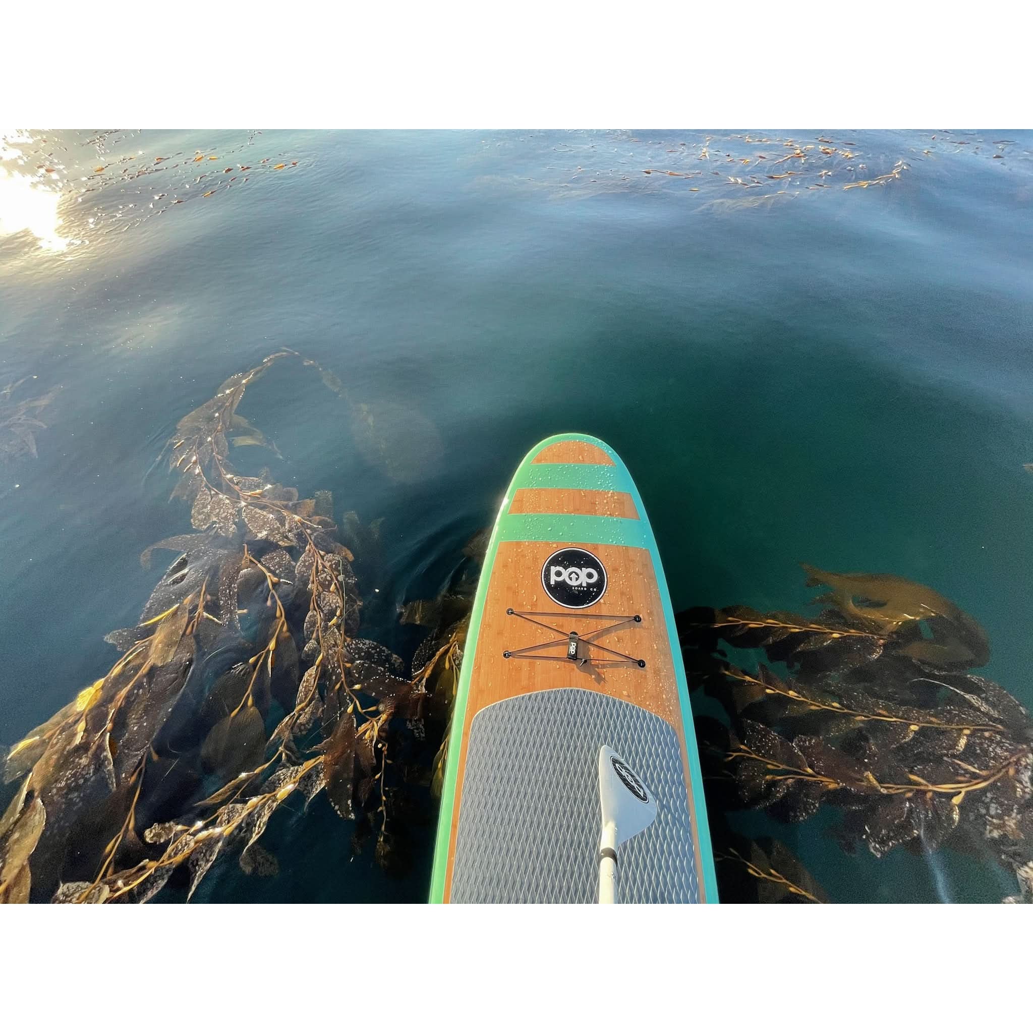 Pop Board Co. Huckleberry 11'0 Rigid Stand Up Paddleboard