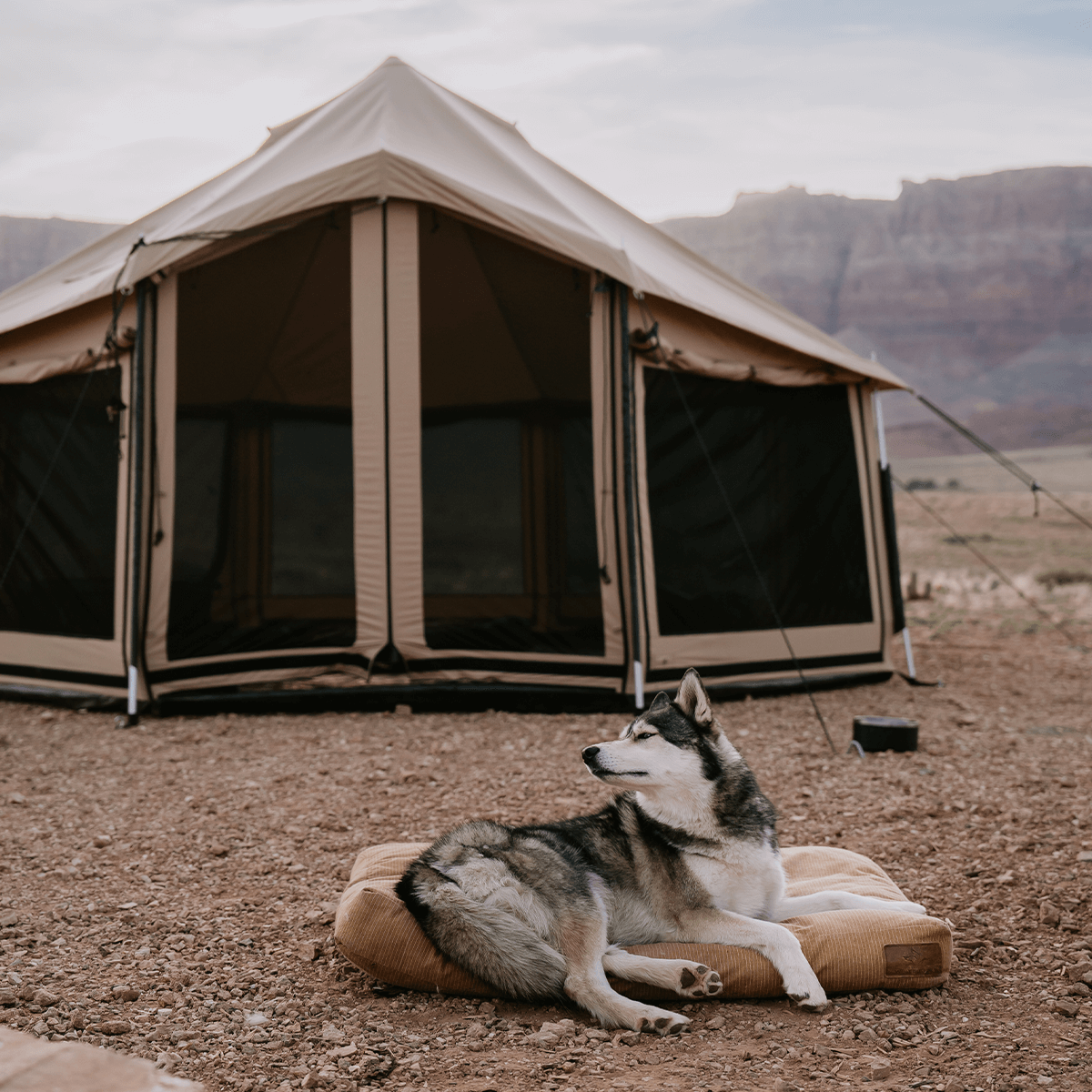 White Duck Outdoors 14' Altimus Bell Tent Four Season Canvas Glamping Tent